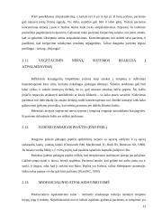 Miofascialinio atpalaidavimo taikymas koneziterapijoje 13 puslapis