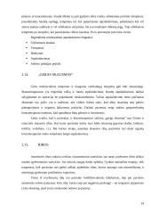 Miofascialinio atpalaidavimo taikymas koneziterapijoje 14 puslapis