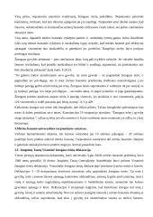 Mirties bausmės problema teisinėje valstybėje 18 puslapis