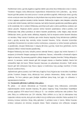 Mirties bausmės problema teisinėje valstybėje 19 puslapis