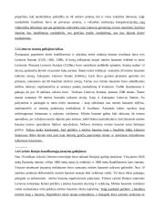 Mirties bausmės problema teisinėje valstybėje 3 puslapis