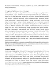 Mirties bausmės problema teisinėje valstybėje 4 puslapis