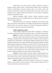 Mokyklos strateginė analizė: Vievio gimnazija 20 puslapis