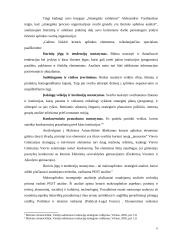 Mokyklos strateginė analizė: Vievio gimnazija 6 puslapis