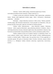 Raštvedyba įstaigose 2 puslapis