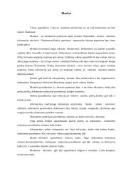 Raštvedyba įstaigose 15 puslapis