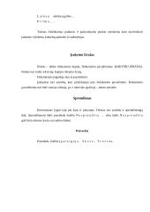 Raštvedyba įstaigose 19 puslapis