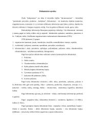 Raštvedyba įstaigose 3 puslapis