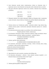 Raštvedyba įstaigose 10 puslapis