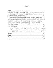Mokinio, turinčio specialiųjų ugdymosi poreikių, matematinis ugdymas bendrojo lavinimo mokykloje 2 puslapis