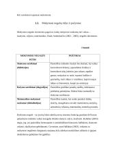 Mokinio, turinčio specialiųjų ugdymosi poreikių, matematinis ugdymas bendrojo lavinimo mokykloje 11 puslapis