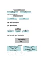 Mokinio, turinčio specialiųjų ugdymosi poreikių, matematinis ugdymas bendrojo lavinimo mokykloje 10 puslapis
