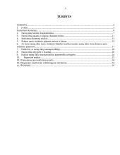 Namų ūkių biudžetų statistinių duomenų analizė 2 puslapis