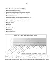 Namų ūkių biudžetų statistinių duomenų analizė 10 puslapis