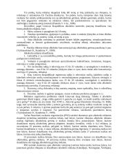 Reklamos moralumas 11 puslapis