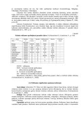 Reklamos moralumas 12 puslapis