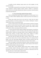 Reklamos poveikis vartotojui: televizijos reklama 11 puslapis