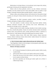 Reklamos poveikis vartotojui: televizijos reklama 13 puslapis