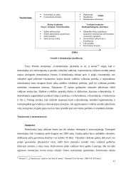 Naujosios informacinės technologijos ir politologija: E-demokratija 11 puslapis