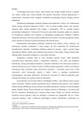 Naujosios informacinės technologijos ir politologija: E-demokratija 3 puslapis