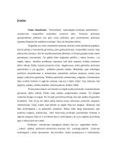 Neįgaliųjų profesinis orientavimas 2 puslapis