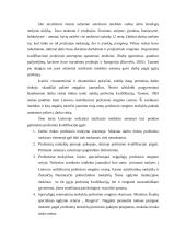 Neįgaliųjų profesinis orientavimas 13 puslapis
