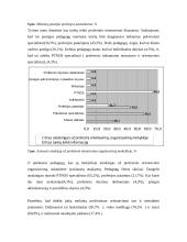 Neįgaliųjų profesinis orientavimas 19 puslapis