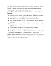 Neįgaliųjų profesinis orientavimas 4 puslapis