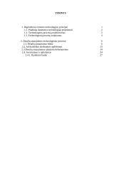 Remonto technologija 2 puslapis