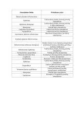 Remonto technologija 12 puslapis