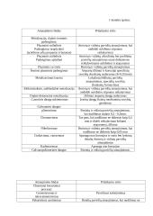 Remonto technologija 13 puslapis