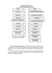 Remonto technologija 18 puslapis