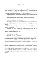 Neverbalinės komunikacijos aspektai 15 puslapis