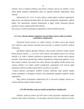 Niekinių ir nuginčijamų sandorių nagrinėjimas 12 puslapis