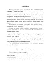 Niekinių ir nuginčijamų sandorių nagrinėjimas 3 puslapis