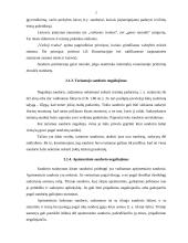 Niekinių ir nuginčijamų sandorių nagrinėjimas 7 puslapis