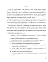 Notaro civilinė atsakomybė 3 puslapis