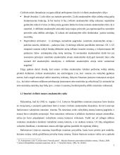 Notaro civilinė atsakomybė 7 puslapis