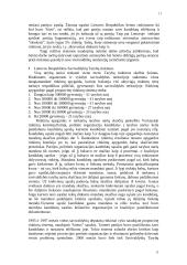 Rinkimų sistemos 11 puslapis