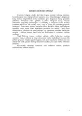 Rinkimų sistemos 4 puslapis