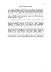 Rinkimų sistemos 8 puslapis