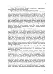 Rinkimų sistemos 10 puslapis