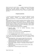 OpenGL 3D grafika 3 puslapis