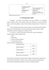 Rinkodaros plano kūrimas: viešbutis "Sutema" 13 puslapis