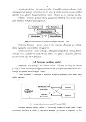 Rinkodaros plano kūrimas: viešbutis "Sutema" 16 puslapis