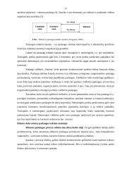 Rinkodaros plano kūrimas: viešbutis "Sutema" 17 puslapis