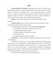 Rinkodaros plano kūrimas: viešbutis "Sutema" 3 puslapis