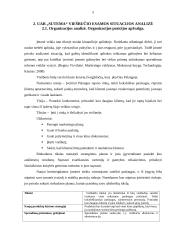 Rinkodaros plano kūrimas: viešbutis "Sutema" 5 puslapis