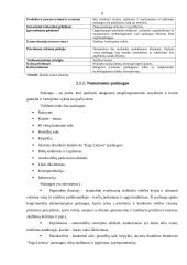 Rinkodaros plano kūrimas: viešbutis "Sutema" 6 puslapis