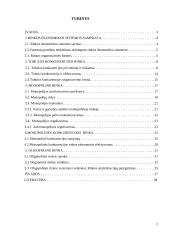 Rinkos organizacinės formos ir jų palyginimas 2 puslapis